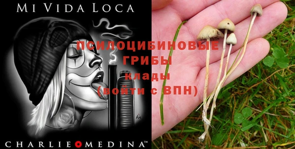 COCAINE Верея