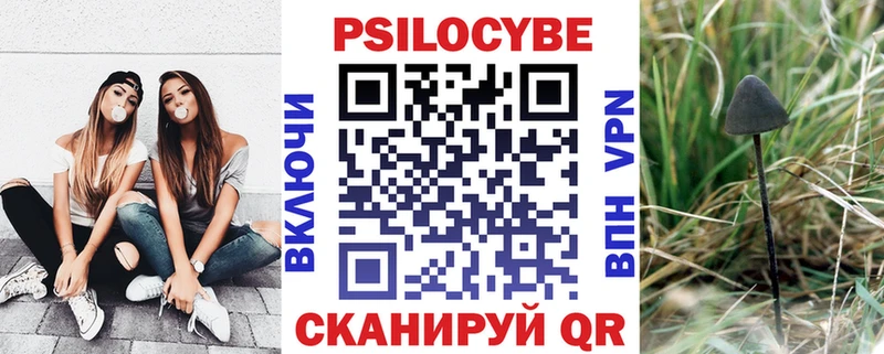 Купить  Лахденпохья  Галлюциногенные грибы Cubensis 
