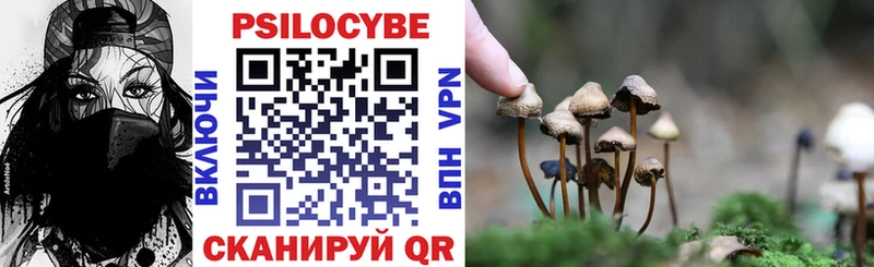 Галлюциногенные грибы Psilocybe Лахденпохья